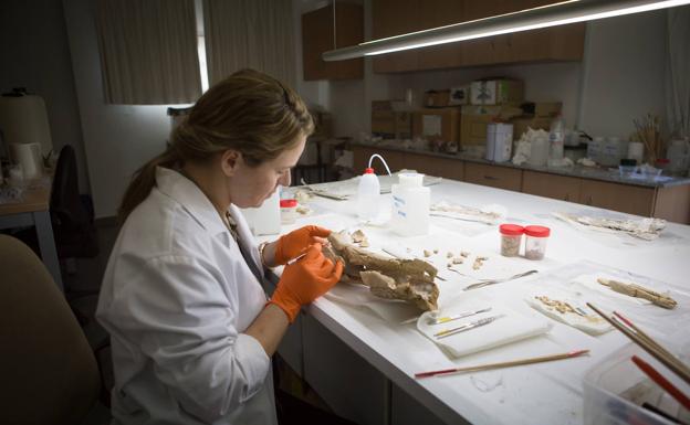 Investigaciones sobre el clima descartan vida humana en Orce hace 2,3 millones de años