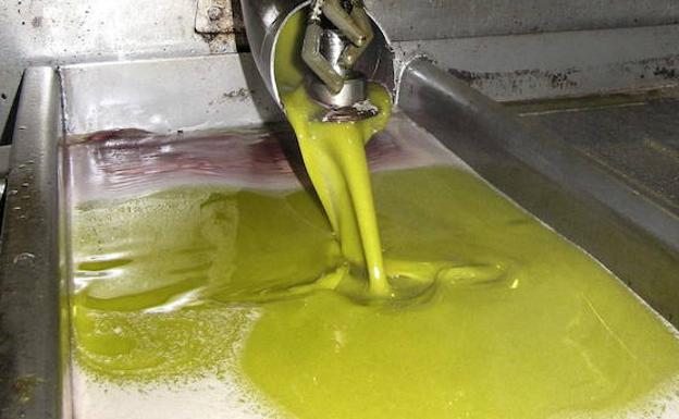 Piden por escrito a Bruselas que no haya límite en el almacenamiento de aceite para subir los precios