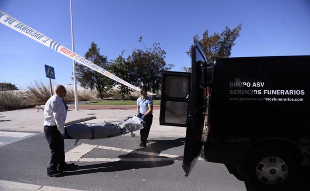 La Guardia Civil descubre 677 plantas de marihuana en Purullena tras una denuncia anónima y una investigación