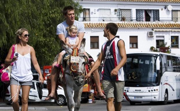 Los burros taxi que no llevarán a personas que pesen más de 80 kilos
