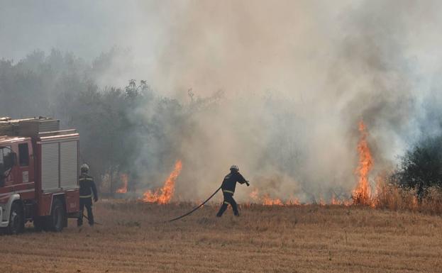 Más de la mitad de los incendios forestales de este año han sido provocados por negligencias