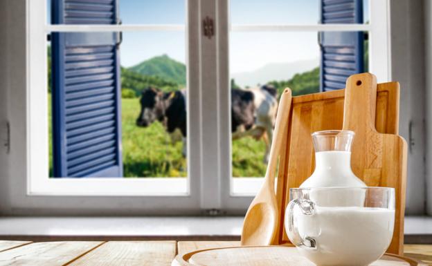 Azúcar excesivo en la dieta: los lácteos no son los responsables