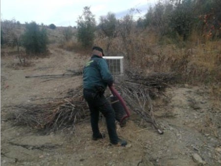 Así descubrió la Guardia Civil un invernadero de marihuana en un semirremolque frigorífico enterrado a cinco metros en Jerez del Marquesado