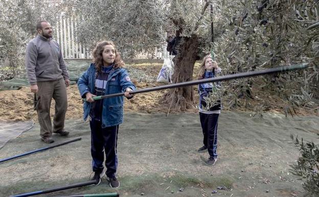 Estas son las cinco noticias que debes conocer en la noche de este martes