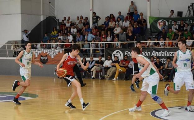 La FEB cita a los granadinos Sánchez, Moreno y Rodríguez