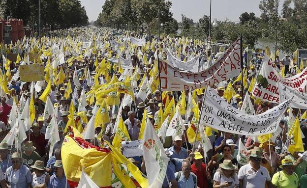 El sector del aceite estudia nuevas protestas tras la «ridícula» ayuda de la UE