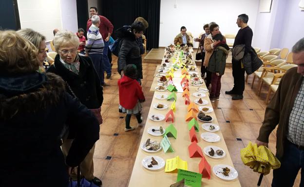 Seteros recolectan 47 clases de hongos en Sierra Morena