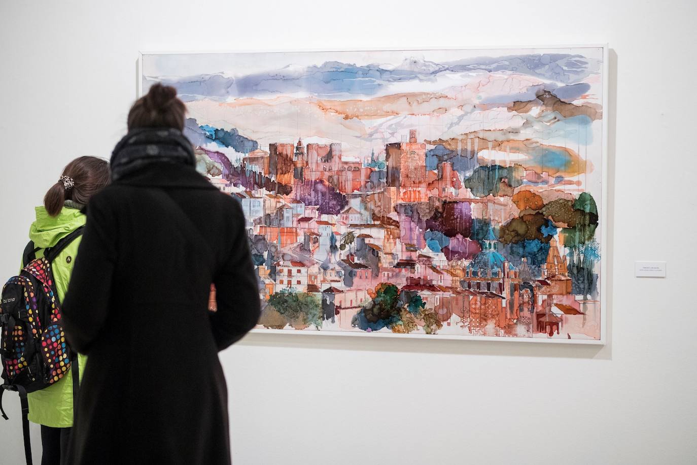 Antonio Carvajal, en el Aula de Cultura de IDEAL