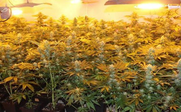 Las 5 noticias que debes conocer este miércoles por la tarde en Granada