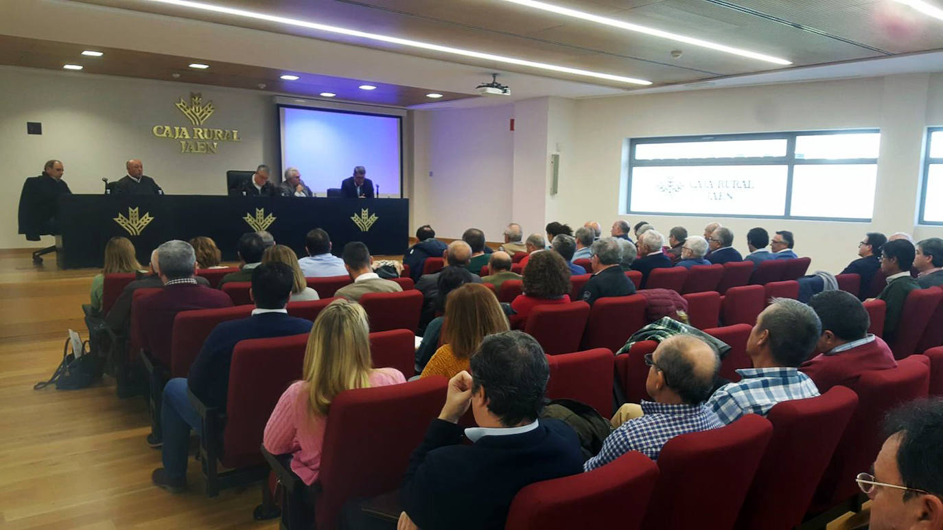 Cooperativas jienenses volverán a ir al almacenamiento privado de aceite «pese a la humillación»