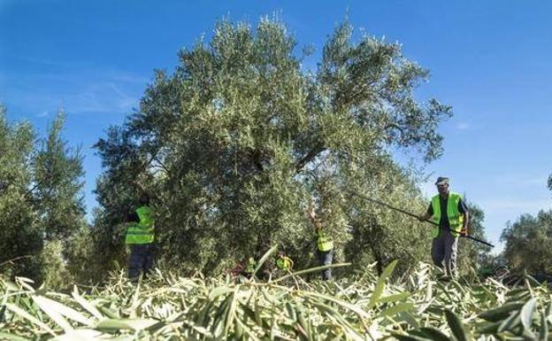 El alcalde de Pozo Alcón avanza que se están intensificando las medidas de seguridad