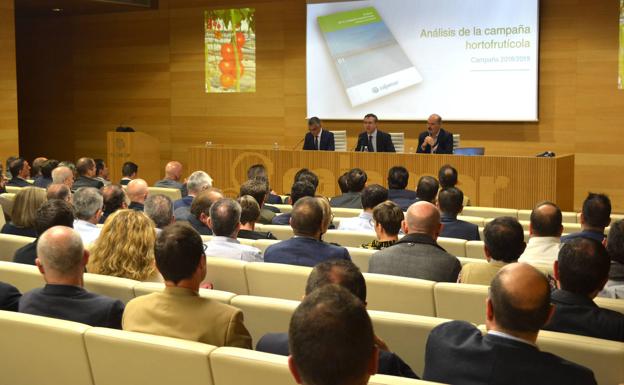 Cae la rentabilidad del sector hortofrutícola a pesar de subir la producción y exportación