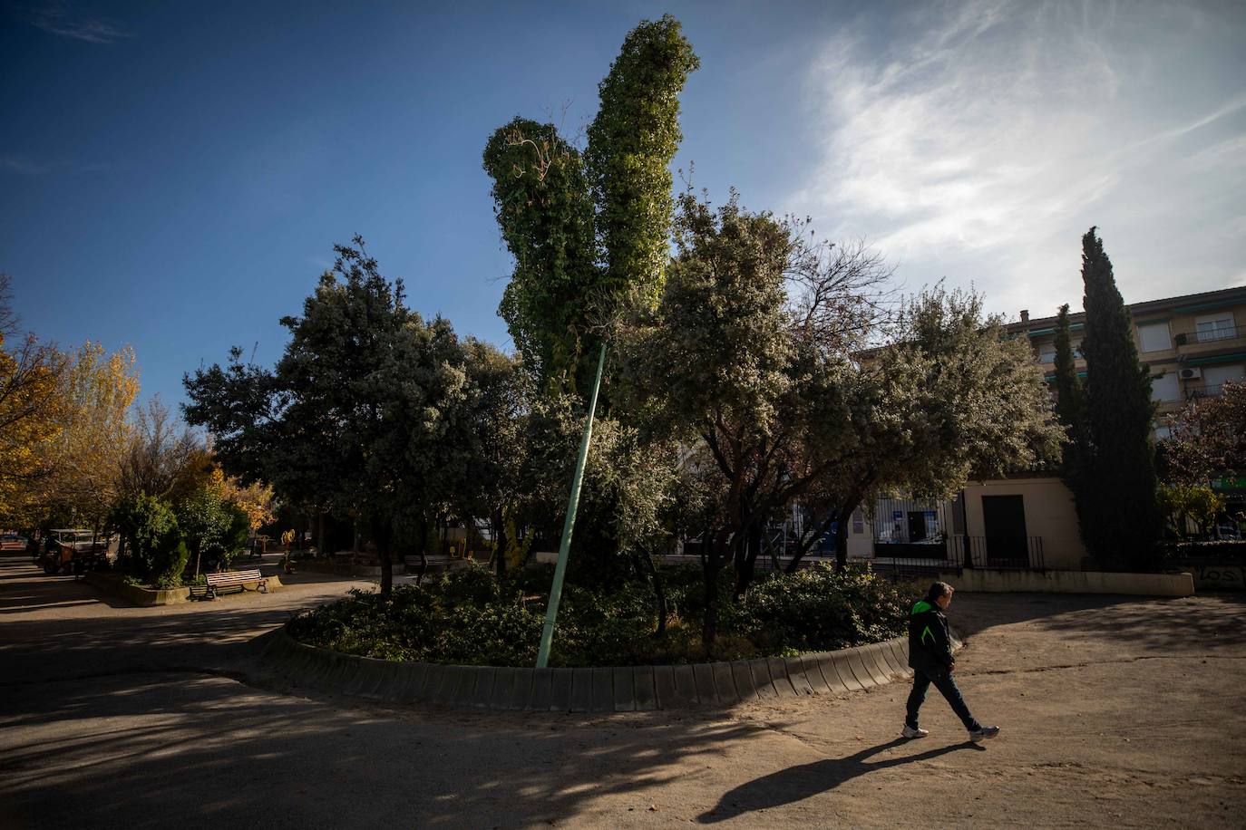 Aquella encina de Falla y Guillén