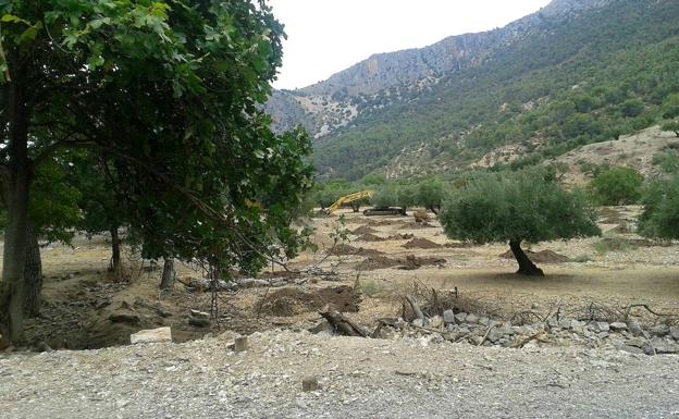 Detenido por abandonar a un inmigrante muerto, que trabajaba en su finca, en el centro de salud de Pozo Alcón