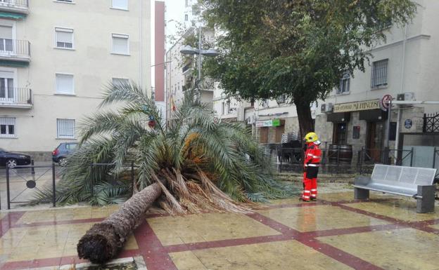 Los fuertes vientos activan la alerta amarilla en la provincia de Jaén