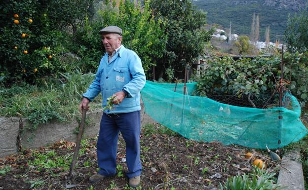 El agricultor más longevo de Pampaneira sigue trabajando en el campo con 91 años de edad