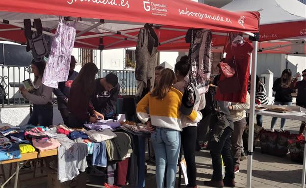 Cádiar participa en una campaña de recogida de bellotas que se realiza en toda la Península