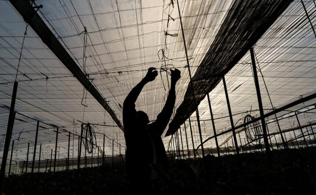 Los extranjeros aportan uno de cada cinco euros a la Seguridad Social en Almería