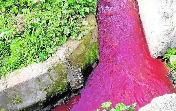 La Junta investiga un presunto vertido de sangre animal en la Acequia Gorda