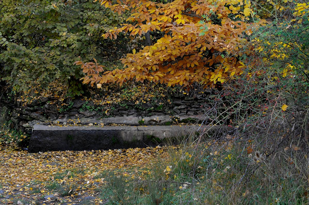 La fuente del Chortal, el agua de los castaños de Jérez