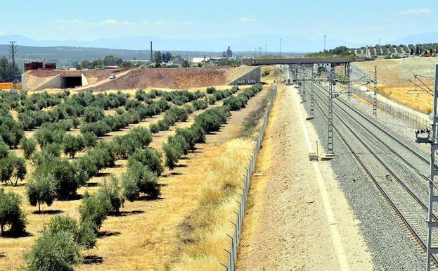 El proyecto del puerto seco, paralizado por «trabas urbanísticas»