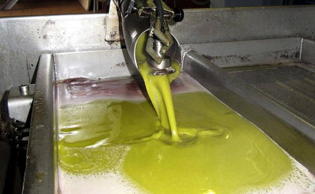 El año acaba con nuevos recortes en el precio del aceite, ni a 2 euros el kilo, la mitad que hace dos campañas