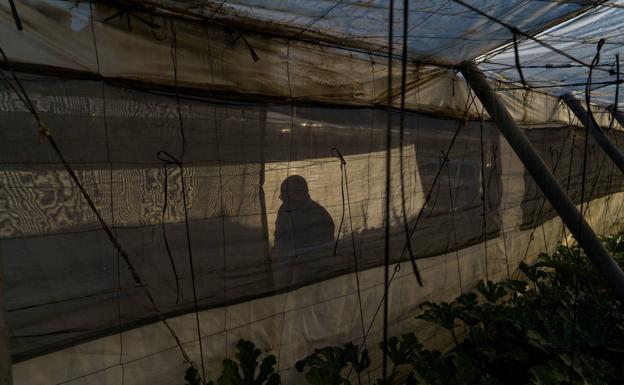 La Seguridad Social detecta la subida del empleo sumergido en Almería