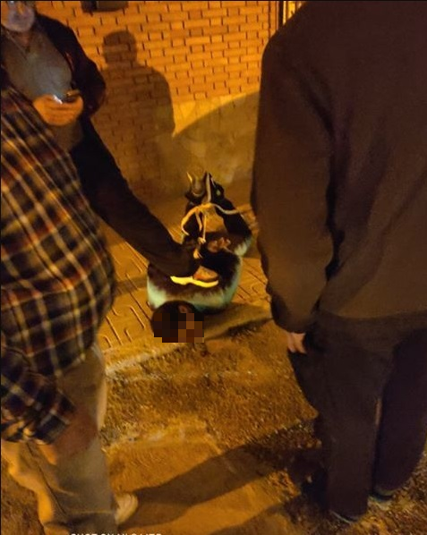 Así detuvieron los vecinos de Alicún de Ortega a unos ladrones