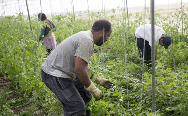 Almería recupera vigor demográfico gracias al auge de las migraciones