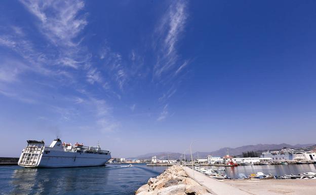 Vox lamenta que la Junta excluya el tren Granada- Motril de sus demandas al Gobierno central