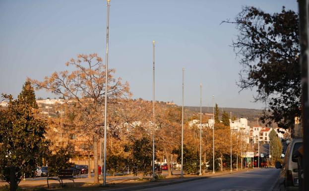 ¿Por qué han desaparecido las banderas del Paseo de Europa?