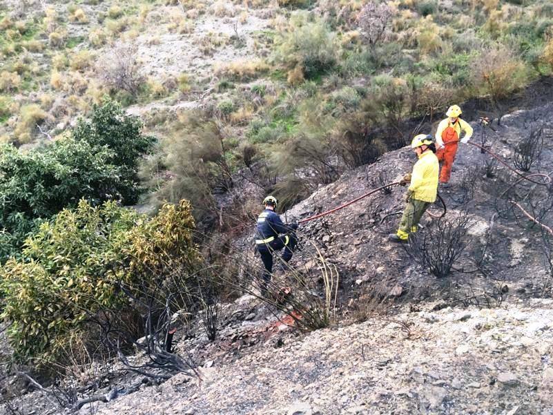 Infoca y Bomberos de Almuñécar sofocan un incendio en Molvízar