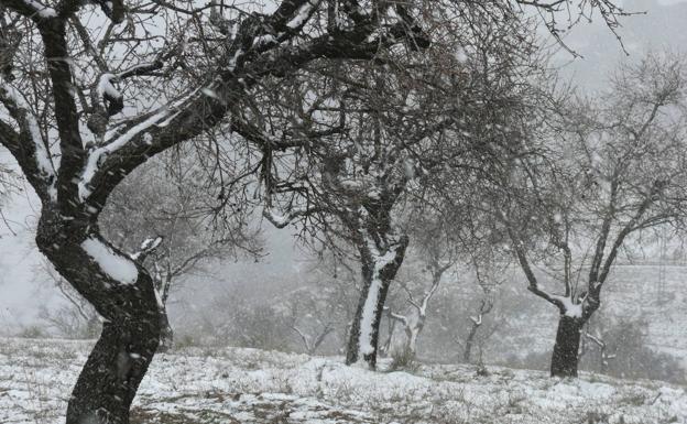 Dos mantos blancos sobre tierras alpujarreñas
