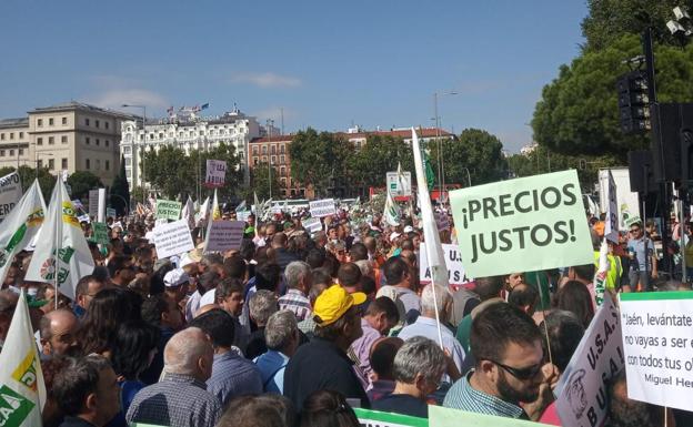 Los olivareros cortarán las principales carreteras de la provincia