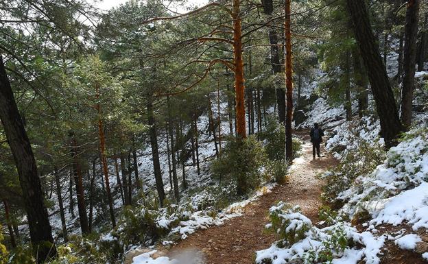 Dónde ir de excursión por la nieve alrededor de Granada