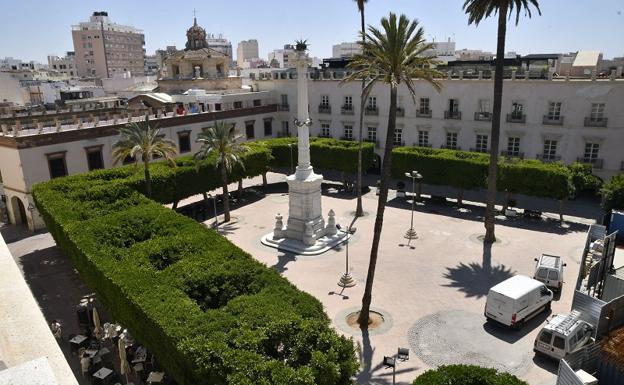 IU apela al Defensor del Pueblo ante el plan de retirar los ficus y el Pingurucho de la Plaza Vieja