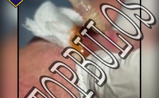 La Policía revela la verdad del vídeo viral sobre el bicho que aparece al beber en lata