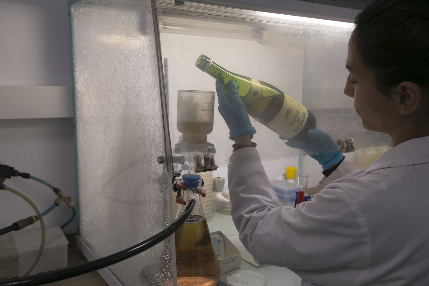 El manjar granadino de los caracoles felices