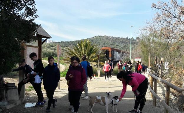 Habrá mejoras en la Vía Verde, tras el pago municipal acordado