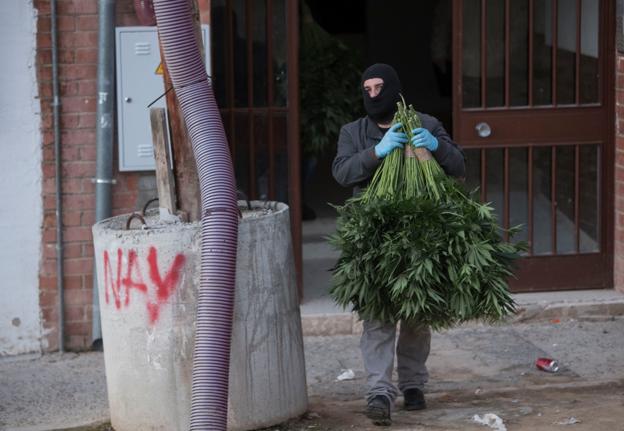 Mil kilos de marihuana y más de cien de hachís abastecían a una red polaca de narcos