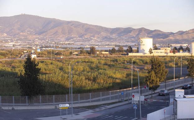 Los empresarios pedirán explicaciones a Costas por reducir a uno los espigones