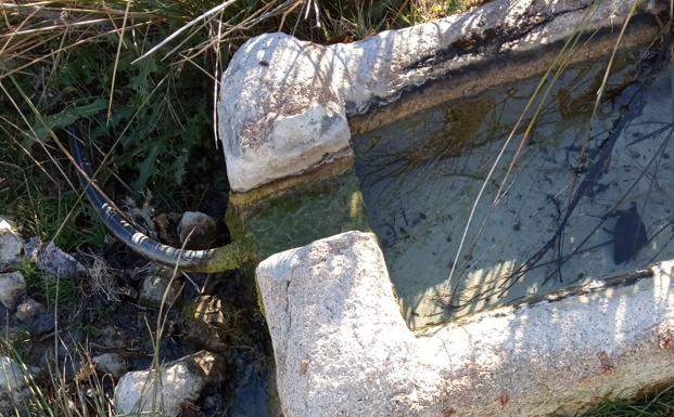 Denuncian la existencia de aguas fecales en un manantial de Castril