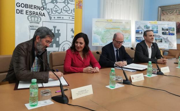 Una planta fotovoltaica para incrementar la rentabilidad del aceite