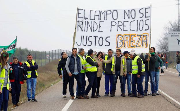Agricultores de Jaén y Córdoba cortan por sorpresa la A-4