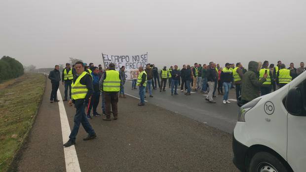 Agricultores de Córdoba y Jaén cortan la A-4