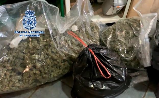La Guardia Civil incauta 1.775 plantas de marihuana en nueve actuaciones en cinco pueblos de Granada