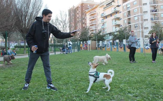 Así es el primer parque para perros de Jaén, en el Bulevar