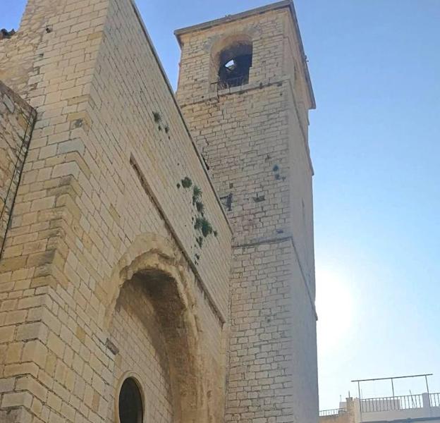 ¿De quién es la Torre del Concejo?