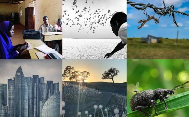 Estas son las mejores fotografías tomadas con un móvil en 2019