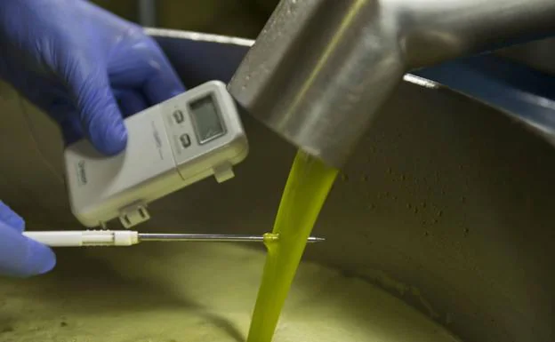 El cambio climático reducirá la producción de aceite de oliva en Andalucía